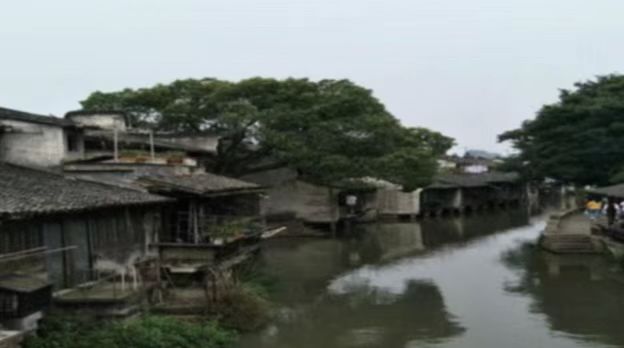 ˮlz퍣悵Ļ