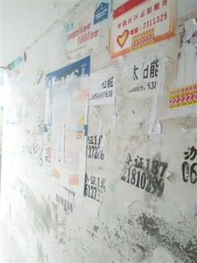 ^(q)ͬУW(xu)ഺI(xin)h־Ը(du)Є(dng)